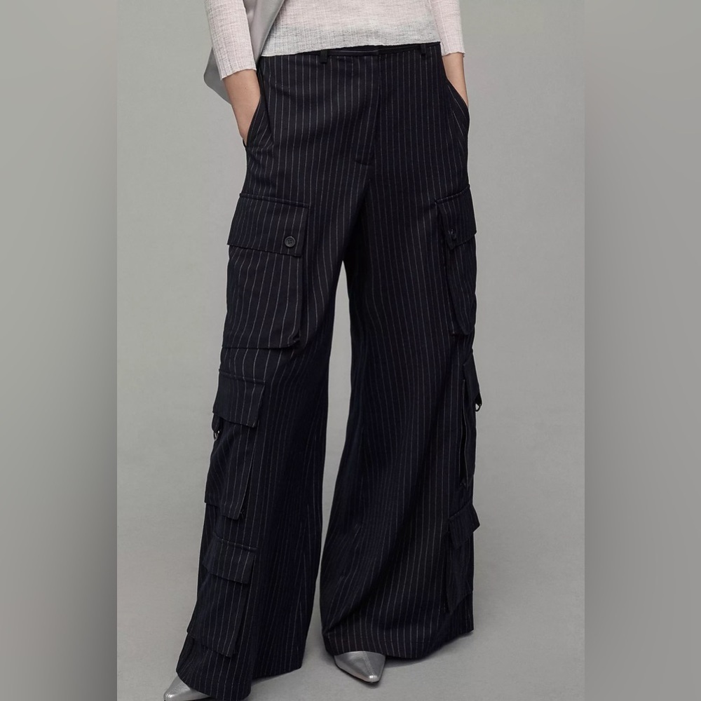 Nwt Twentysixhundred Pinstripe Utility Pants